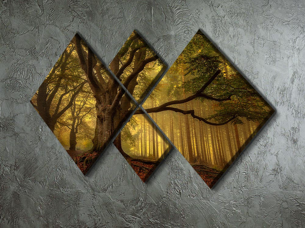Old Tree 4 Square Multi Panel Canvas - Canvas Art Rocks - 2