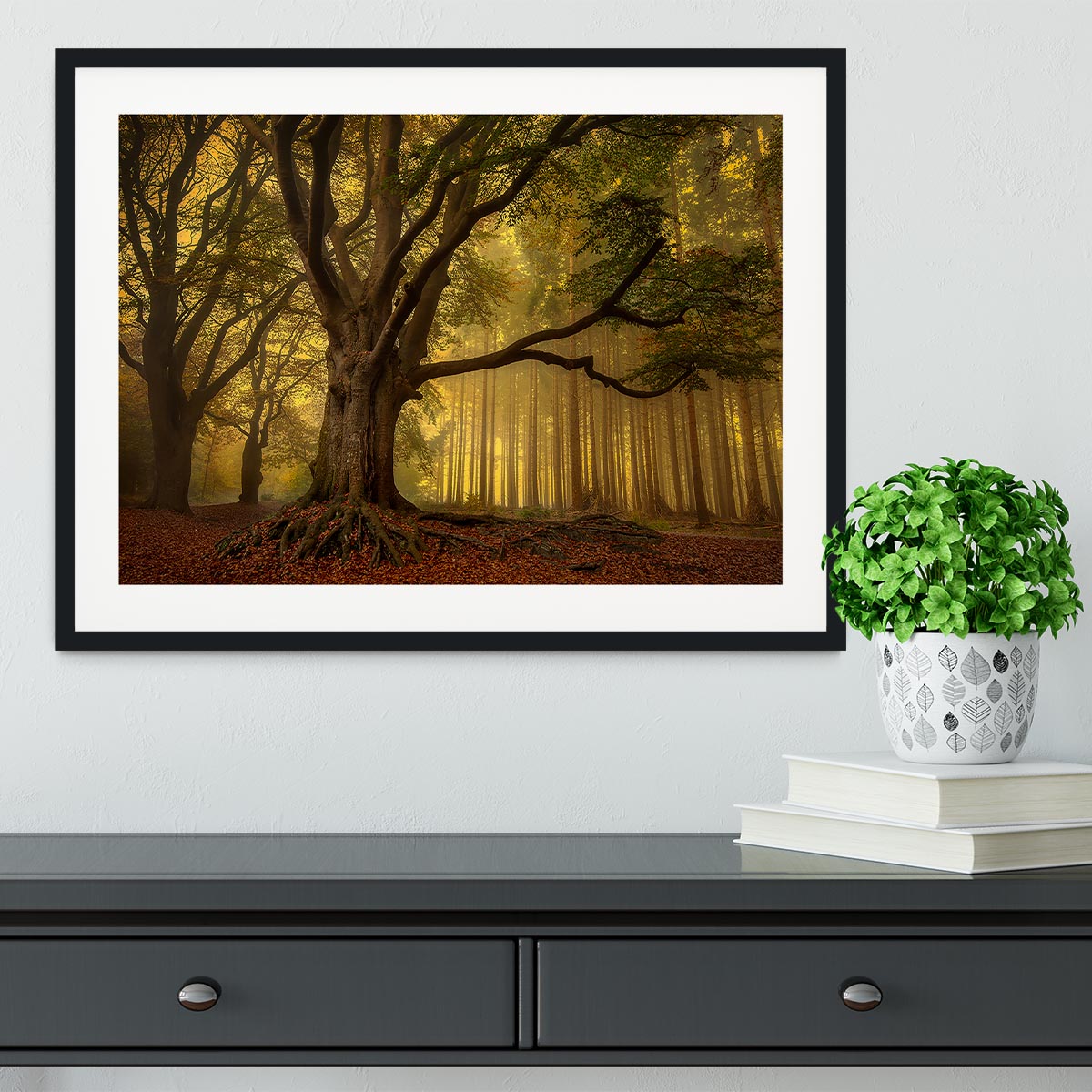 Old Tree Framed Print - Canvas Art Rocks - 1