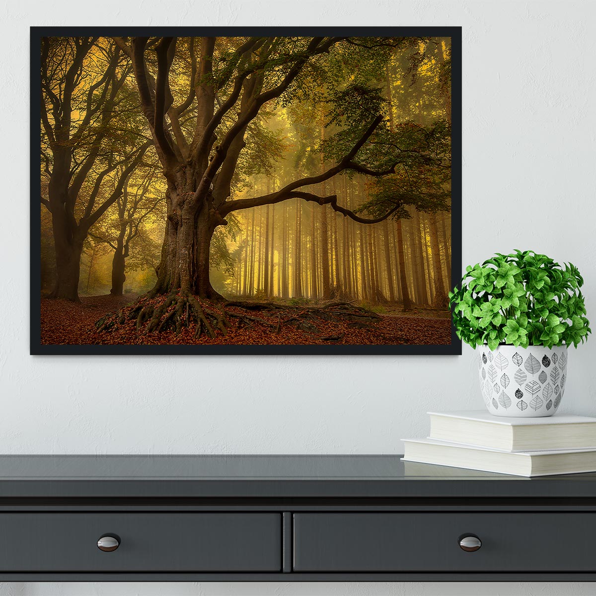 Old Tree Framed Print - Canvas Art Rocks - 2