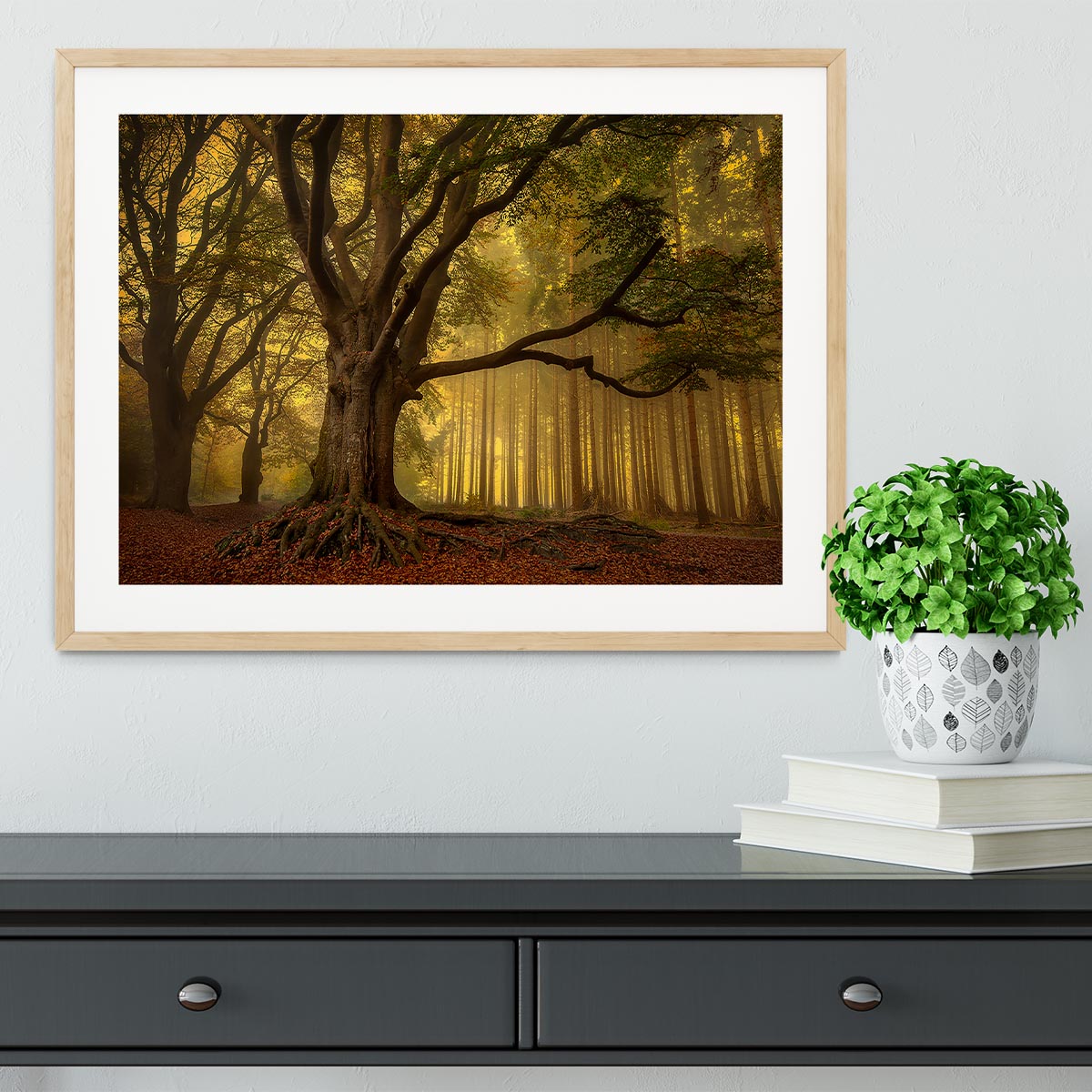 Old Tree Framed Print - Canvas Art Rocks - 3