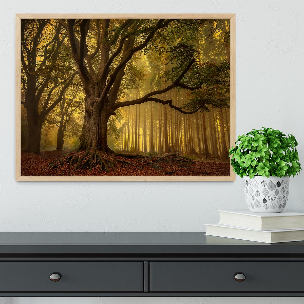 Old Tree Framed Print - Canvas Art Rocks - 4