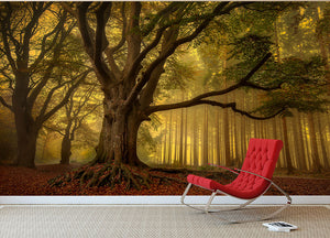 Old Tree Wall Mural Wallpaper - Canvas Art Rocks - 2