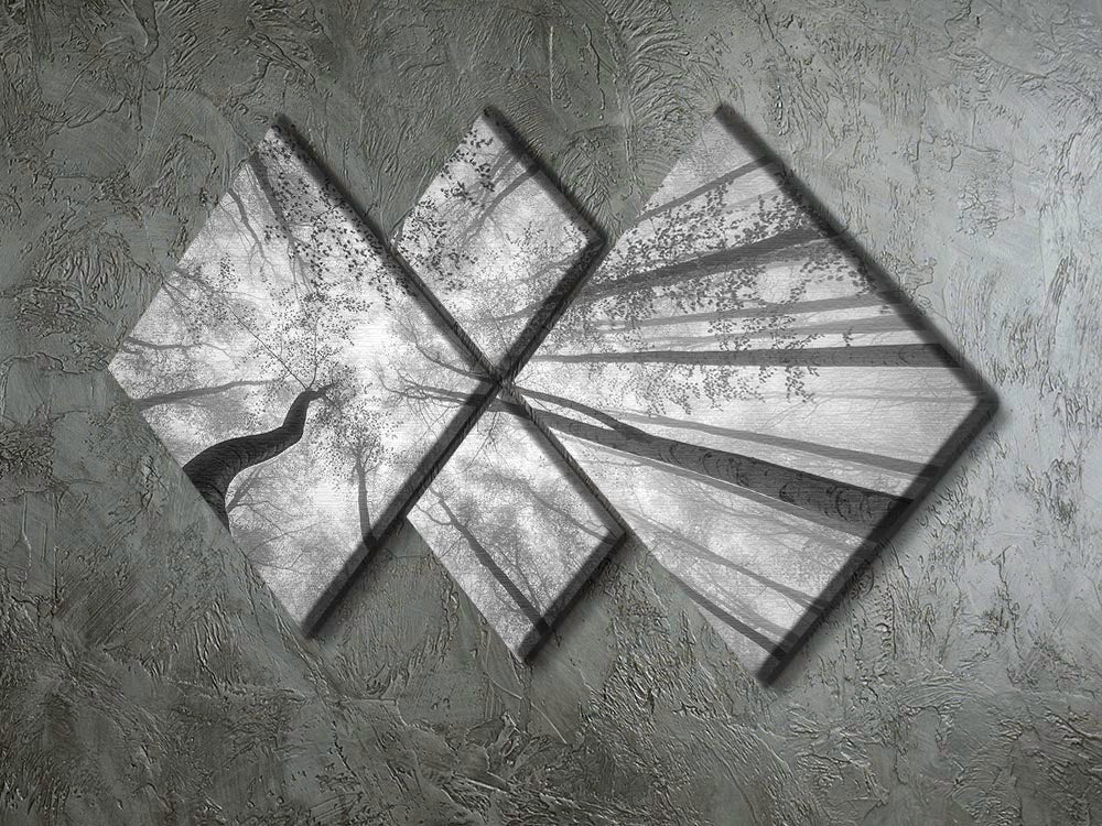 Spring Crown Of Trees 4 Square Multi Panel Canvas - Canvas Art Rocks - 2