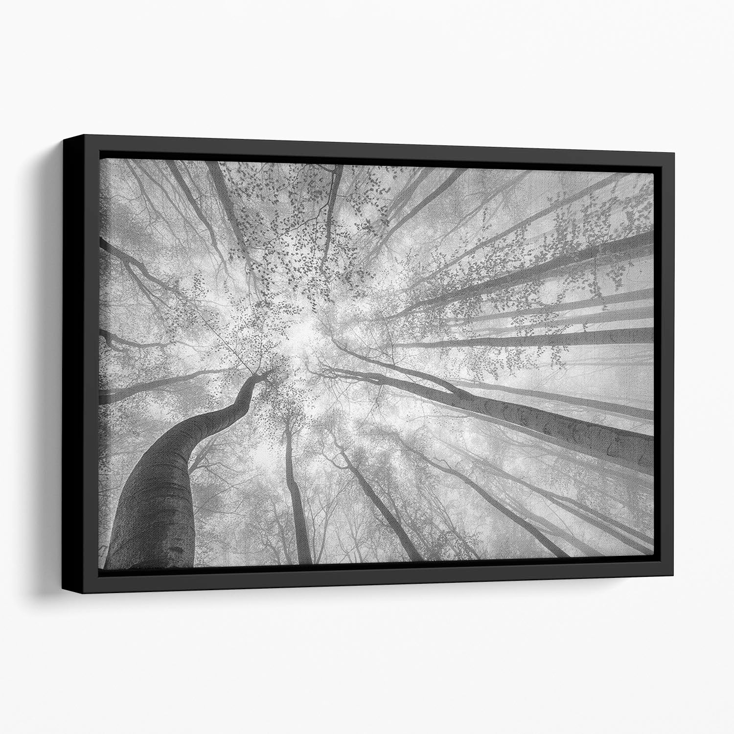 Spring Crown Of Trees Floating Framed Canvas - Canvas Art Rocks - 1