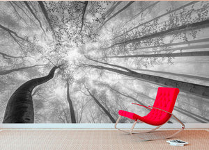 Spring Crown Of Trees Wall Mural Wallpaper - Canvas Art Rocks - 2