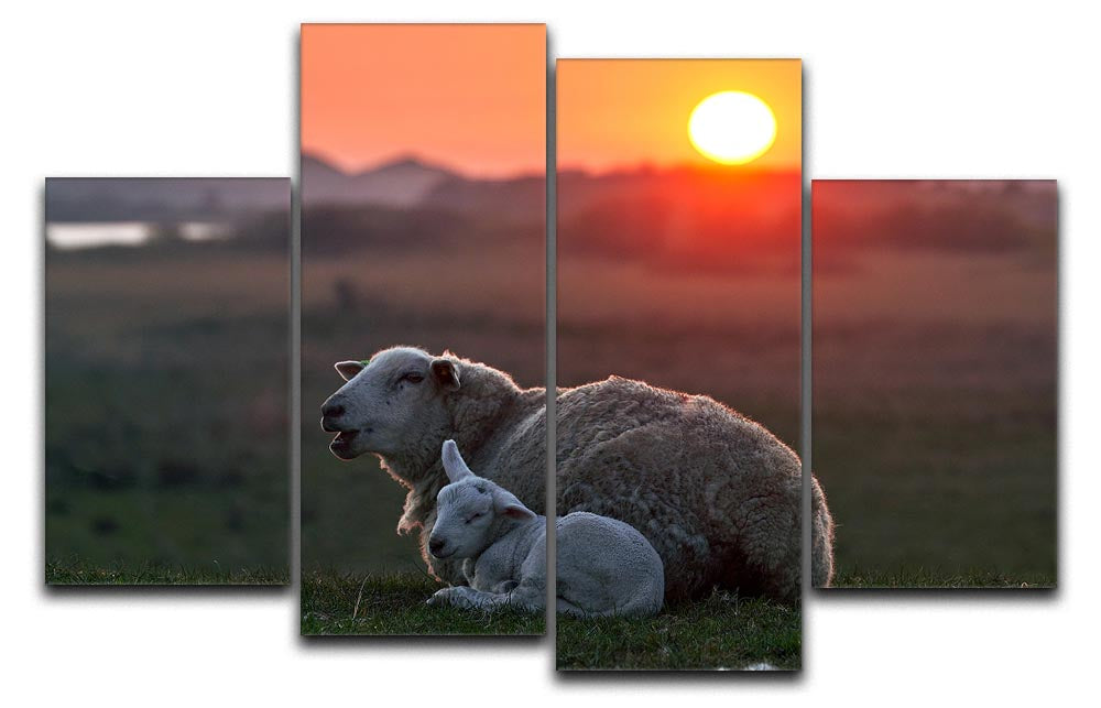Sleep well Sheep 4 Split Panel Canvas - Canvas Art Rocks - 1