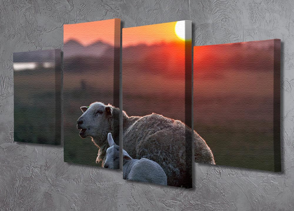 Sleep well Sheep 4 Split Panel Canvas - Canvas Art Rocks - 2