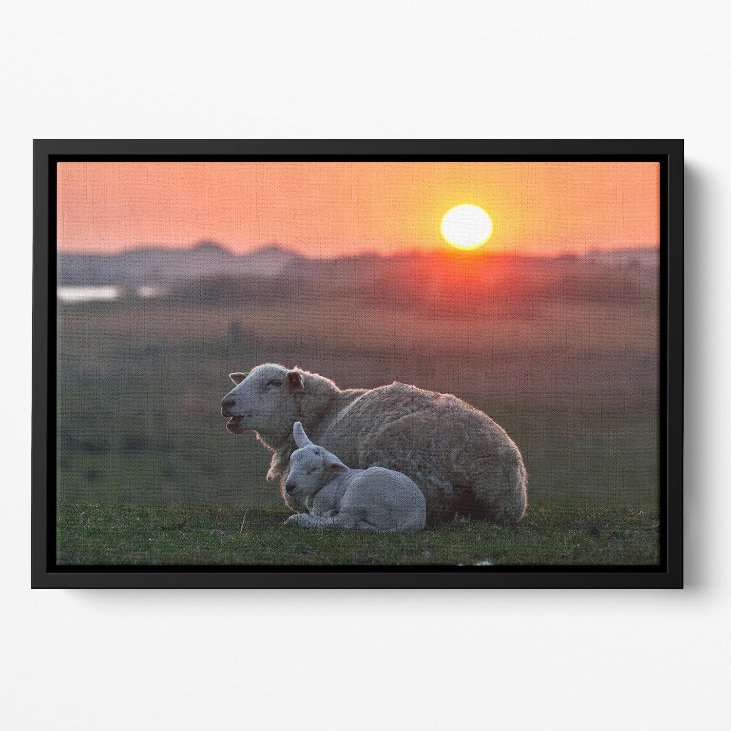 Sleep well Sheep Floating Framed Canvas - Canvas Art Rocks - 2