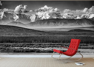 The Alaskan Range Wall Mural Wallpaper - Canvas Art Rocks - 2