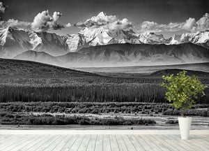 The Alaskan Range Wall Mural Wallpaper - Canvas Art Rocks - 4