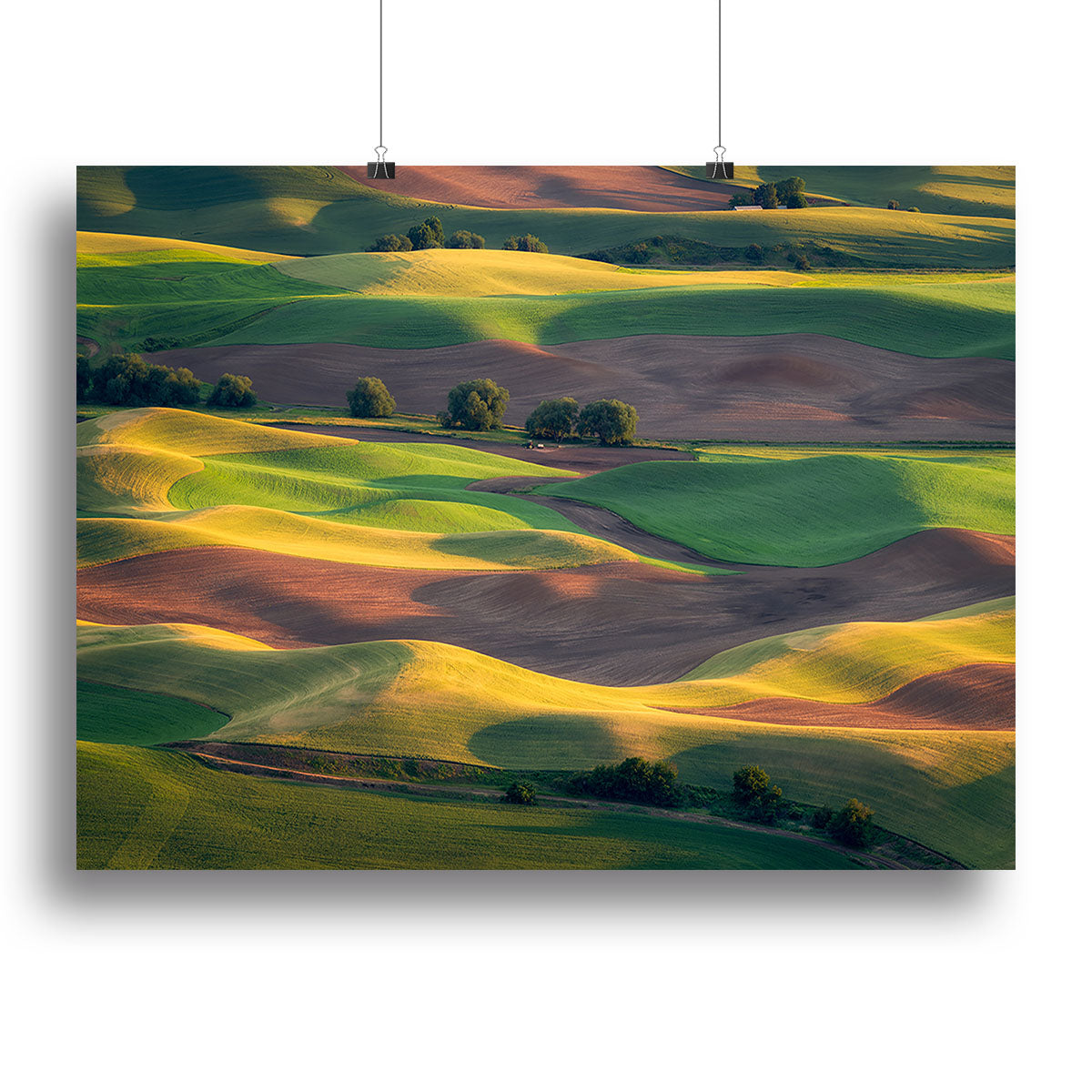 Colorful Palouse Canvas Print or Poster - Canvas Art Rocks - 2