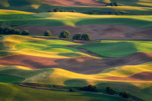 Colorful Palouse Wall Mural Wallpaper - Canvas Art Rocks - 1