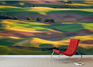 Colorful Palouse Wall Mural Wallpaper - Canvas Art Rocks - 2