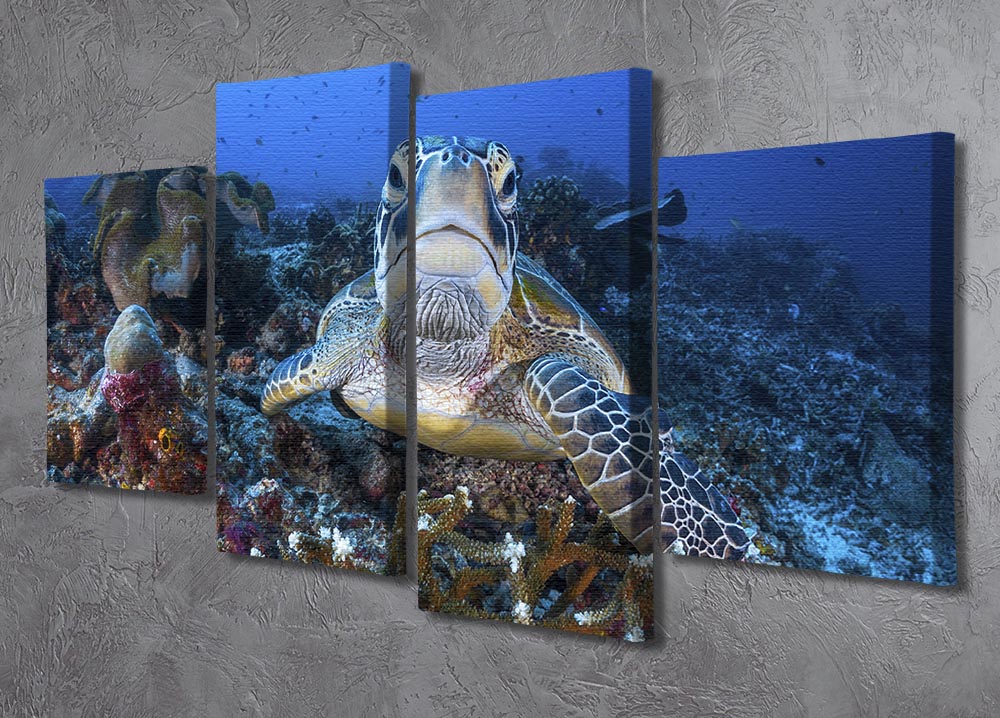 Face To Face With A Green Turtle 4 Split Panel Canvas - Canvas Art Rocks - 2
