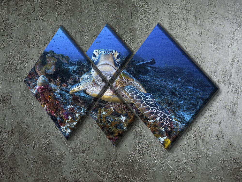 Face To Face With A Green Turtle 4 Square Multi Panel Canvas - Canvas Art Rocks - 2