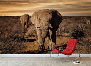 Elephant Posing Wall Mural Wallpaper - Canvas Art Rocks - 2