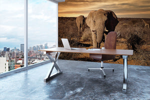 Elephant Posing Wall Mural Wallpaper - Canvas Art Rocks - 3