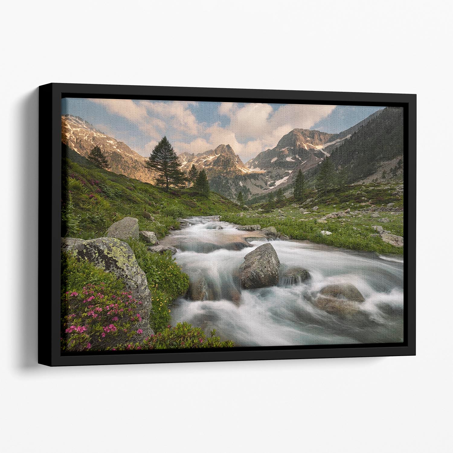 Maritime Alps Park Floating Framed Canvas - Canvas Art Rocks - 1