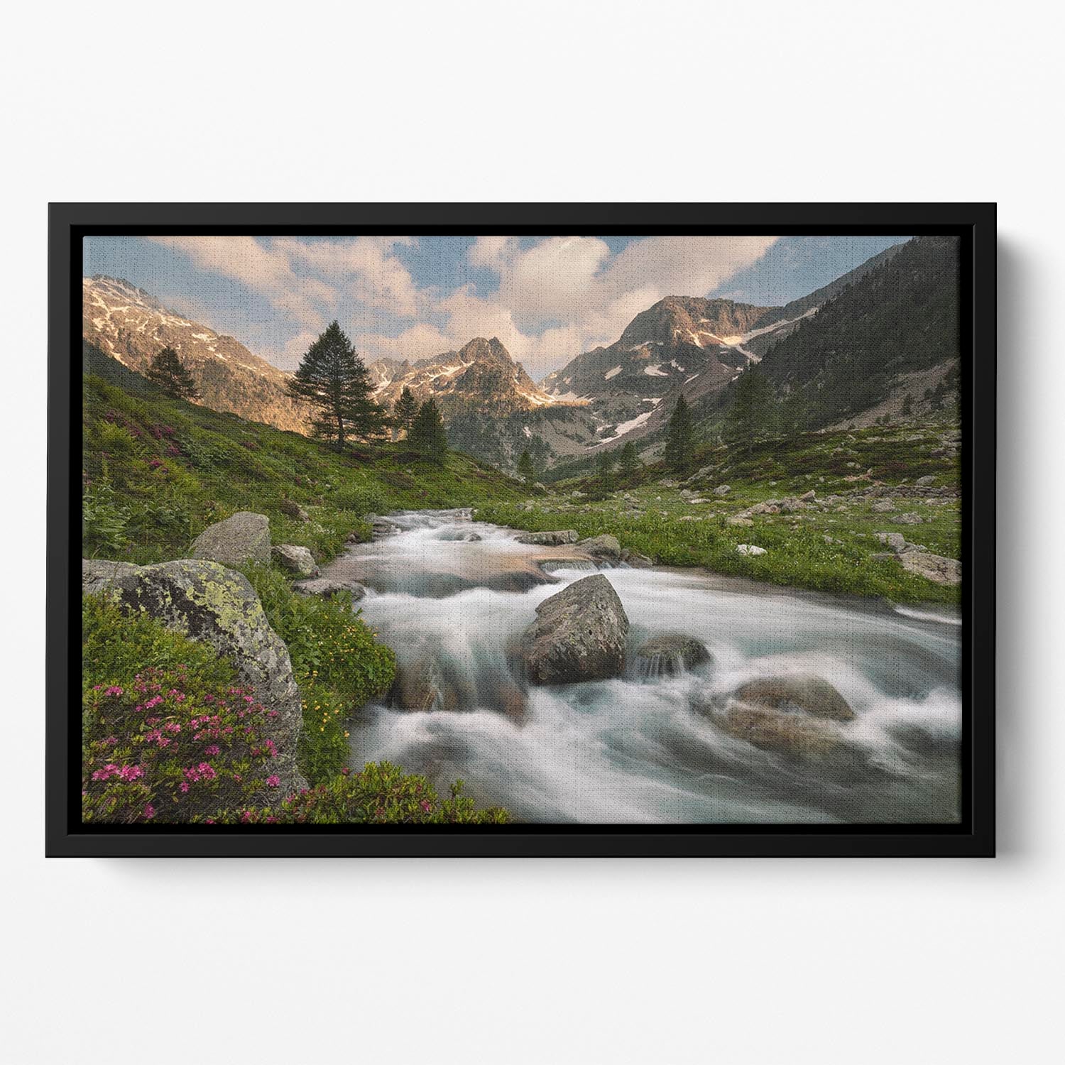 Maritime Alps Park Floating Framed Canvas - Canvas Art Rocks - 2