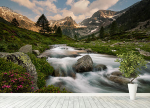 Maritime Alps Park Wall Mural Wallpaper - Canvas Art Rocks - 4