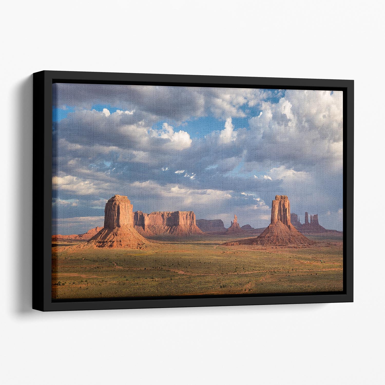 Lost World Floating Framed Canvas - Canvas Art Rocks - 1