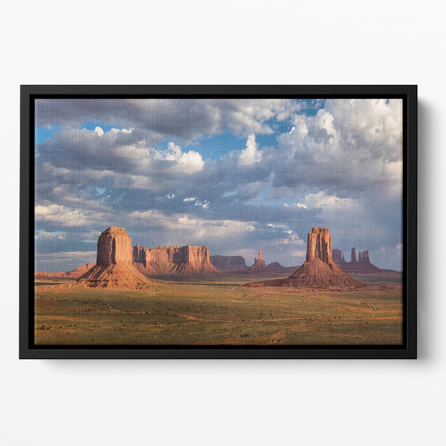 Lost World Floating Framed Canvas - Canvas Art Rocks - 2