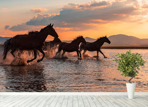 Water Horses Wall Mural Wallpaper - Canvas Art Rocks - 4