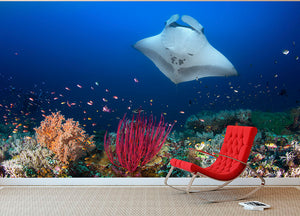 Ocean Manta Ray On The Reef Wall Mural Wallpaper - Canvas Art Rocks - 2