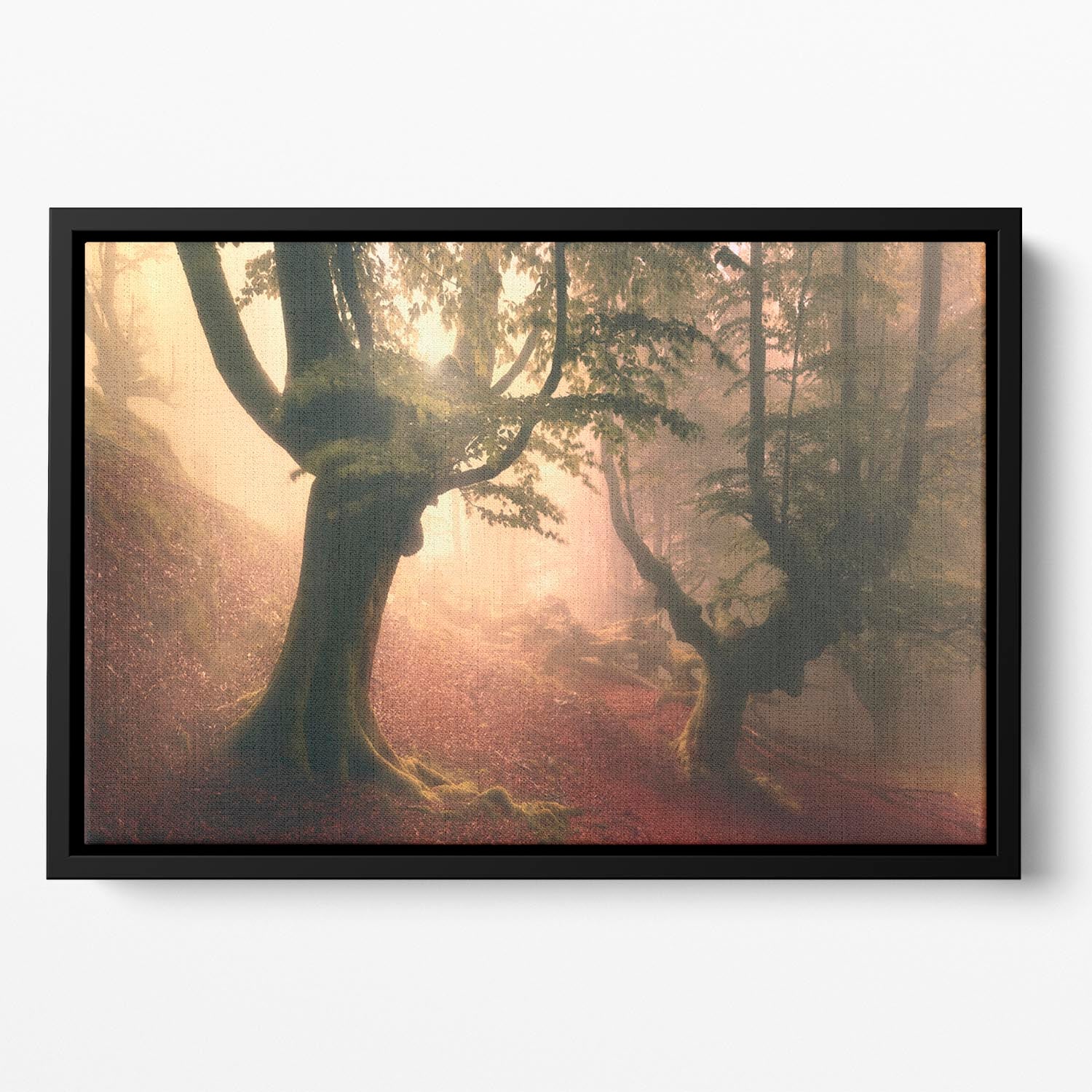 Fangorn Forest Floating Framed Canvas - Canvas Art Rocks - 2