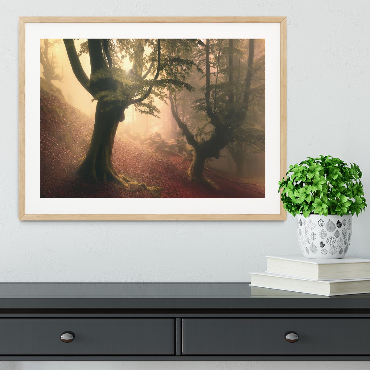 Fangorn Forest Framed Print - Canvas Art Rocks - 3