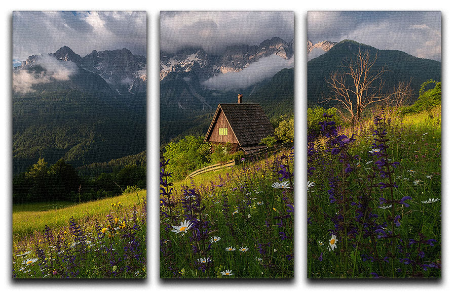 On The Meadows 3 Split Panel Canvas Print - Canvas Art Rocks - 1