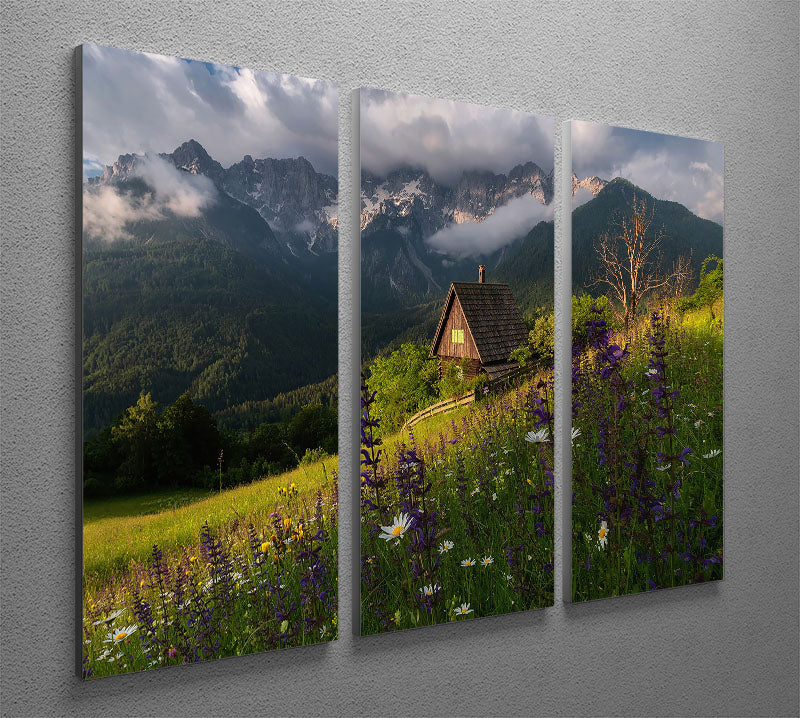 On The Meadows 3 Split Panel Canvas Print - Canvas Art Rocks - 2