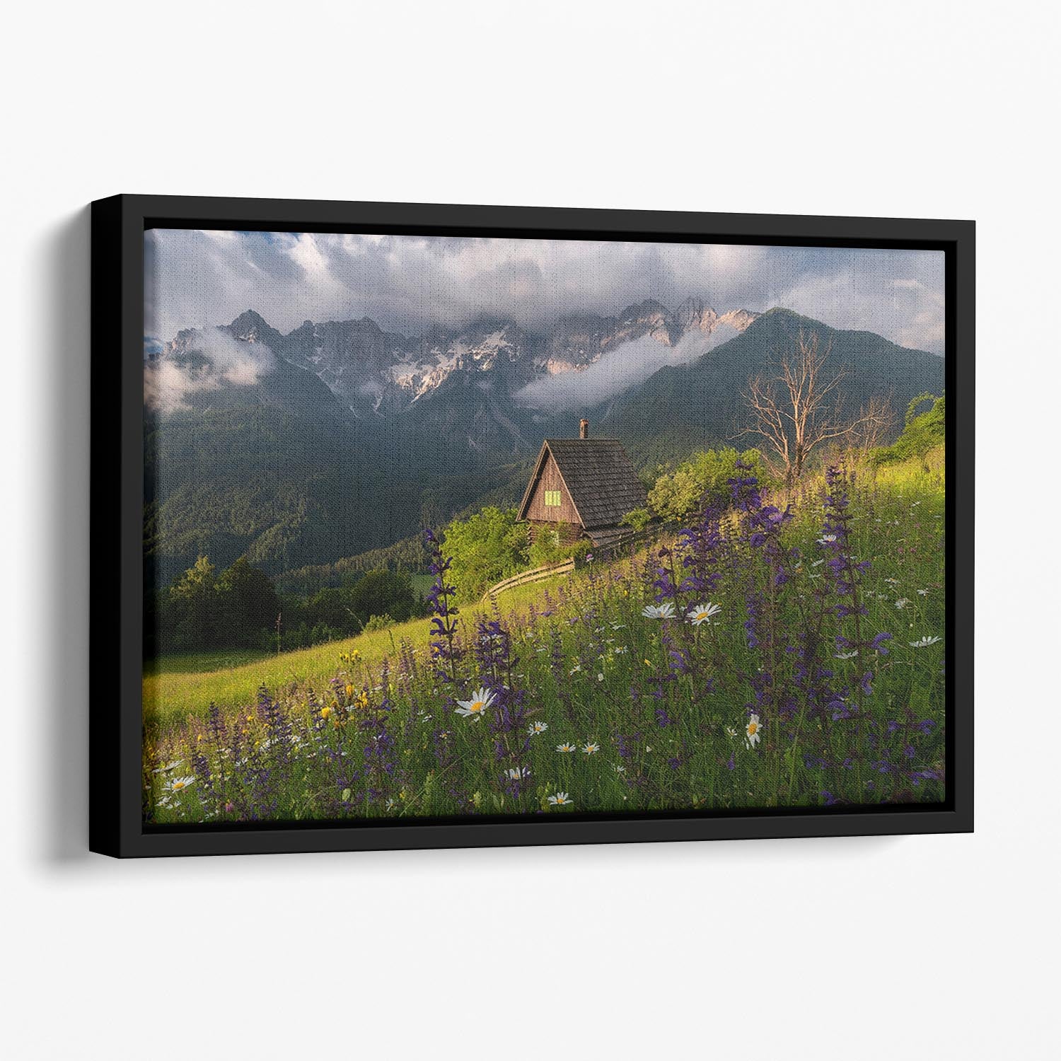 On The Meadows Floating Framed Canvas - Canvas Art Rocks - 1