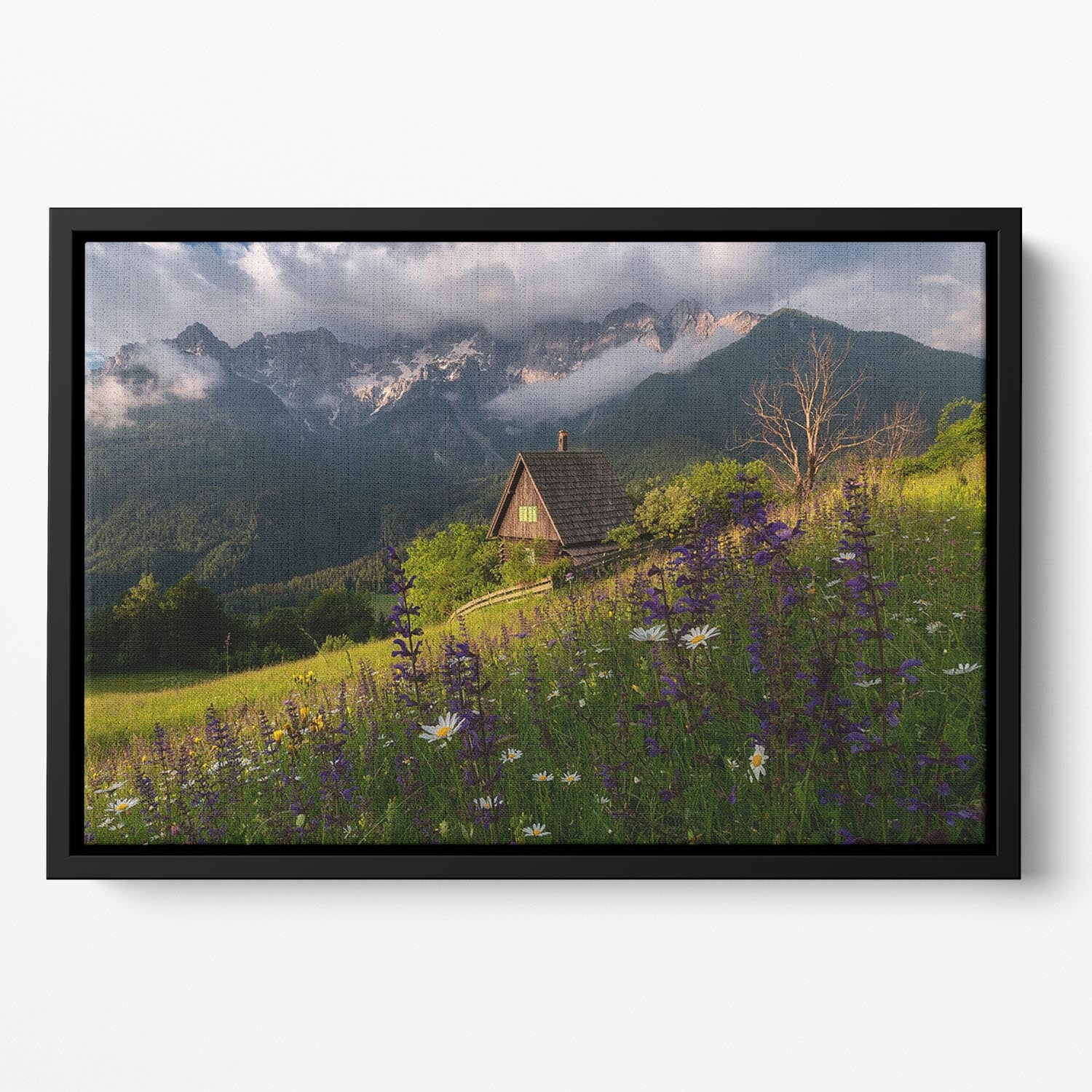 On The Meadows Floating Framed Canvas - Canvas Art Rocks - 2