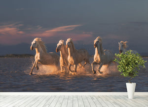 Camargue horses on sunset Wall Mural Wallpaper - Canvas Art Rocks - 4