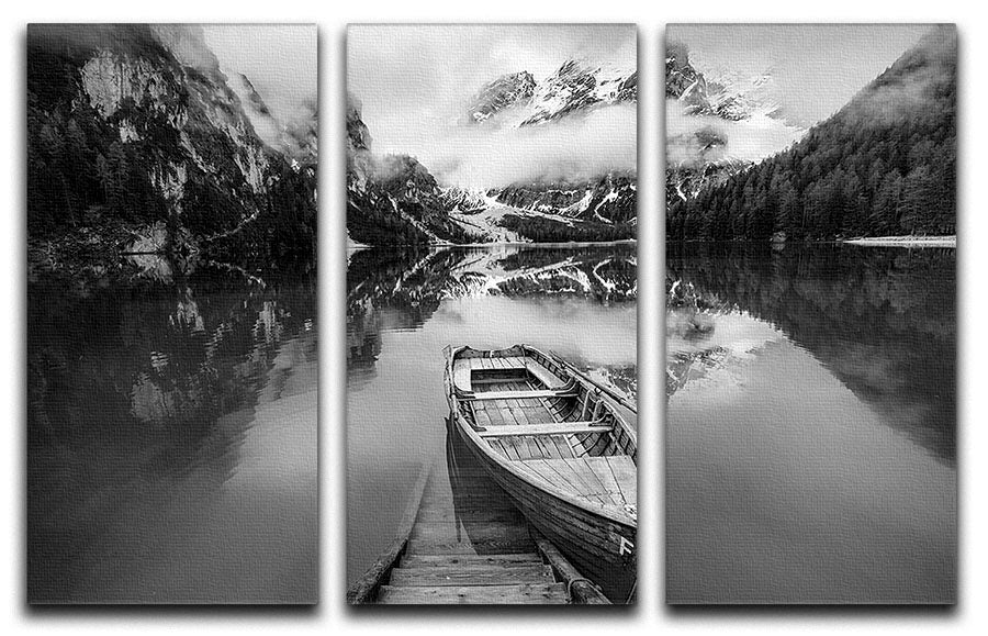 En Blanco Y Negro 3 Split Panel Canvas Print - Canvas Art Rocks - 1