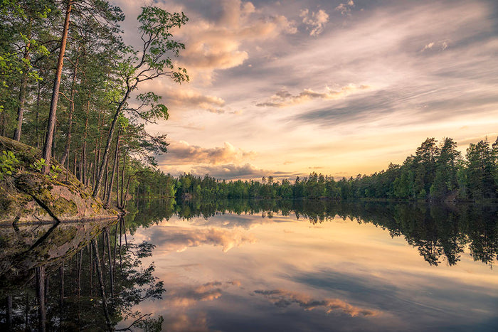 Lake Tarmsjapn Sweden Wall Mural Wallpaper