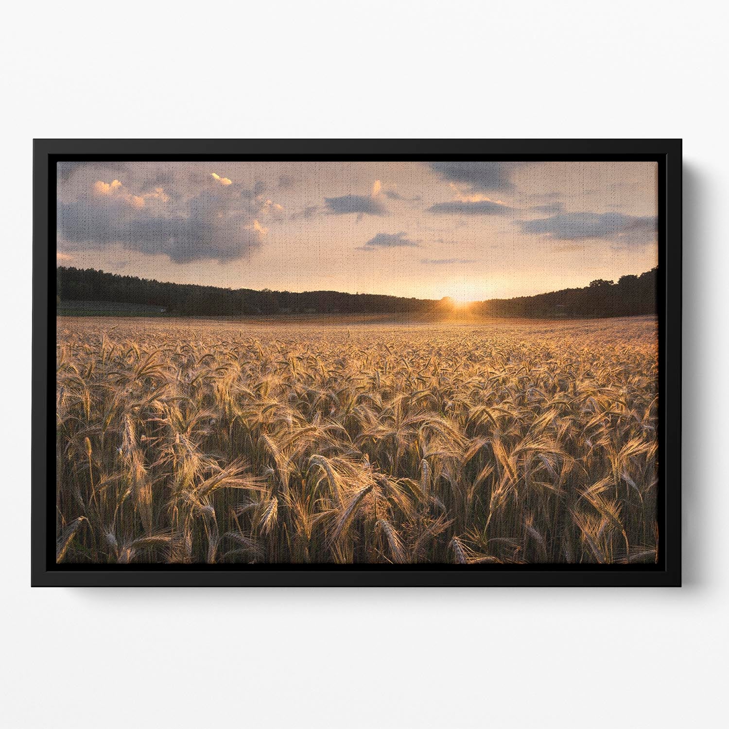 Fields Of Gold Floating Framed Canvas - Canvas Art Rocks - 2