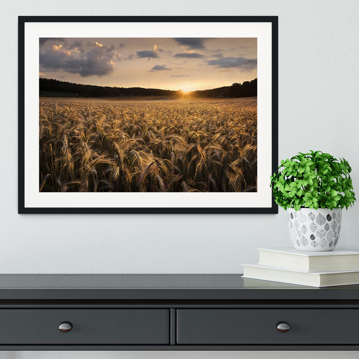 Fields Of Gold Framed Print - Canvas Art Rocks - 1