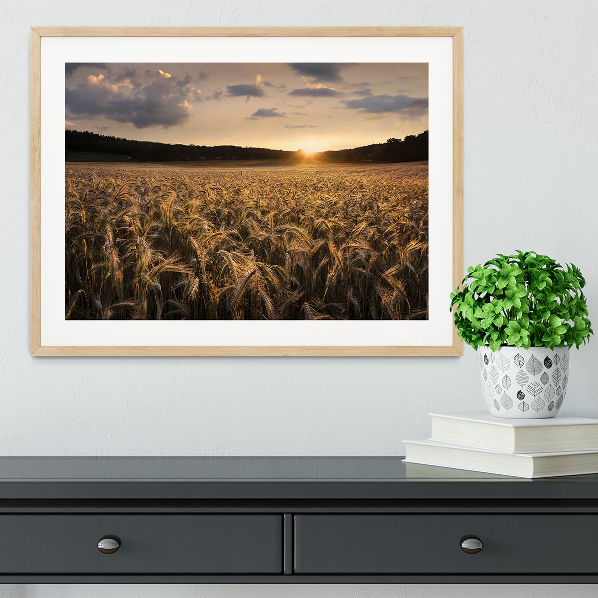 Fields Of Gold Framed Print - Canvas Art Rocks - 3