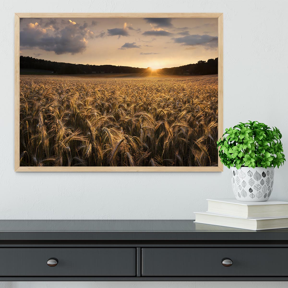 Fields Of Gold Framed Print - Canvas Art Rocks - 4