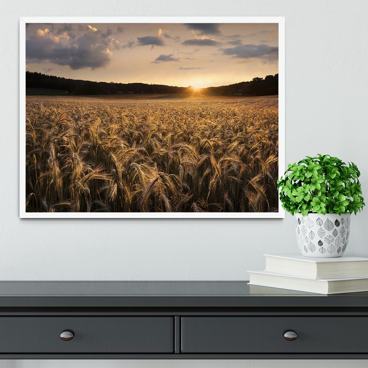 Fields Of Gold Framed Print - Canvas Art Rocks -6