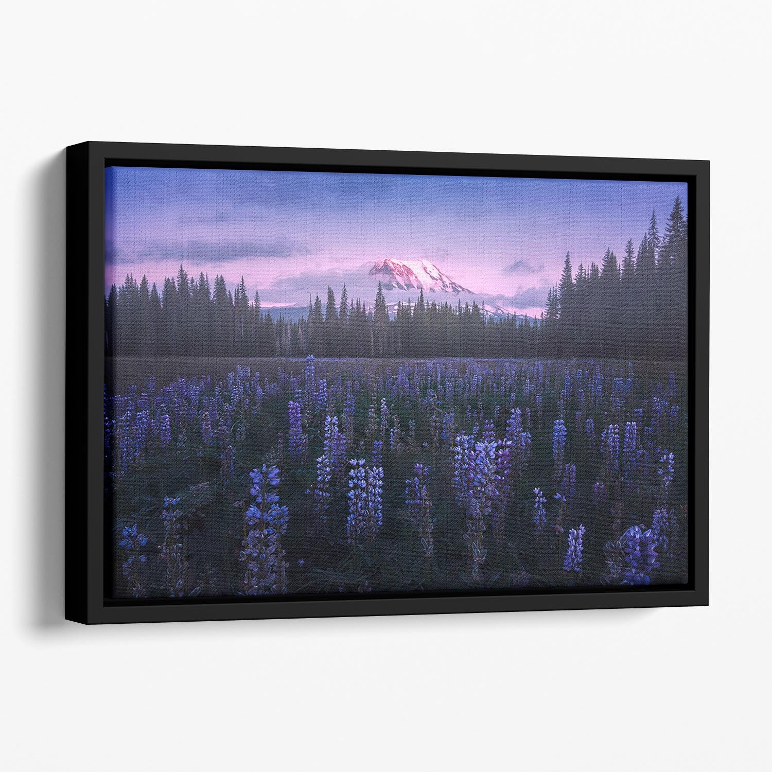 Adam's Lupine Floating Framed Canvas - Canvas Art Rocks - 1