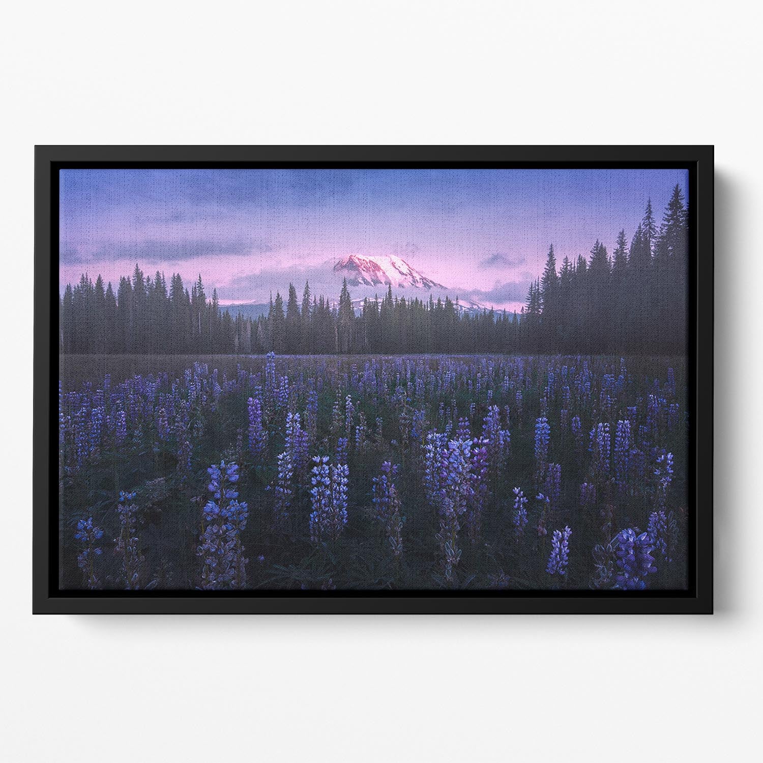 Adam's Lupine Floating Framed Canvas - Canvas Art Rocks - 2