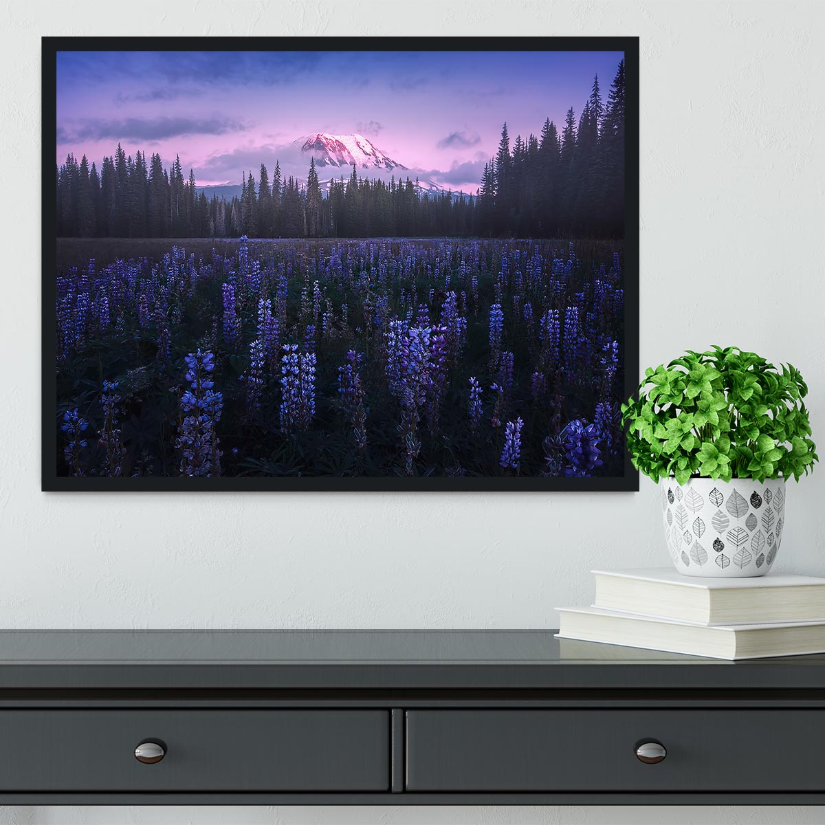 Adam's Lupine Framed Print - Canvas Art Rocks - 2