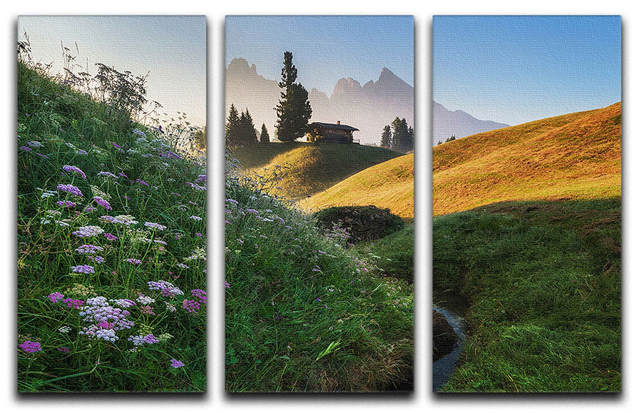 Flowery Morning 3 Split Panel Canvas Print - Canvas Art Rocks - 1