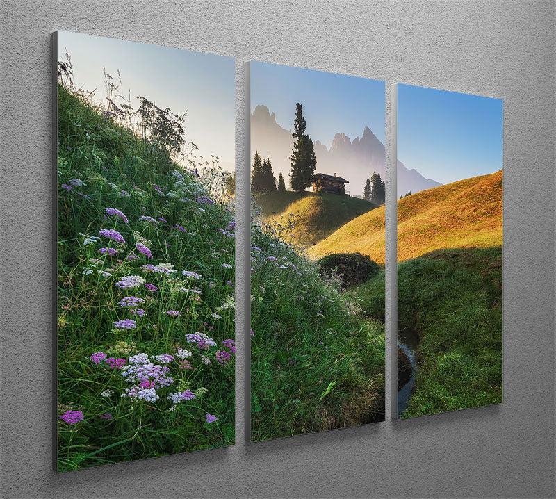 Flowery Morning 3 Split Panel Canvas Print - Canvas Art Rocks - 2