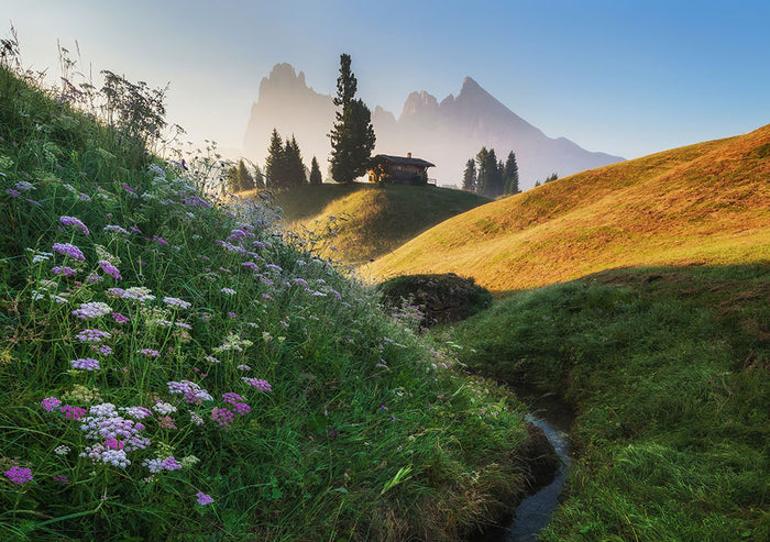 Flowery Morning Wall Mural Wallpaper