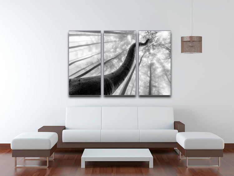 Tree Shapes 3 Split Panel Canvas Print - Canvas Art Rocks - 3
