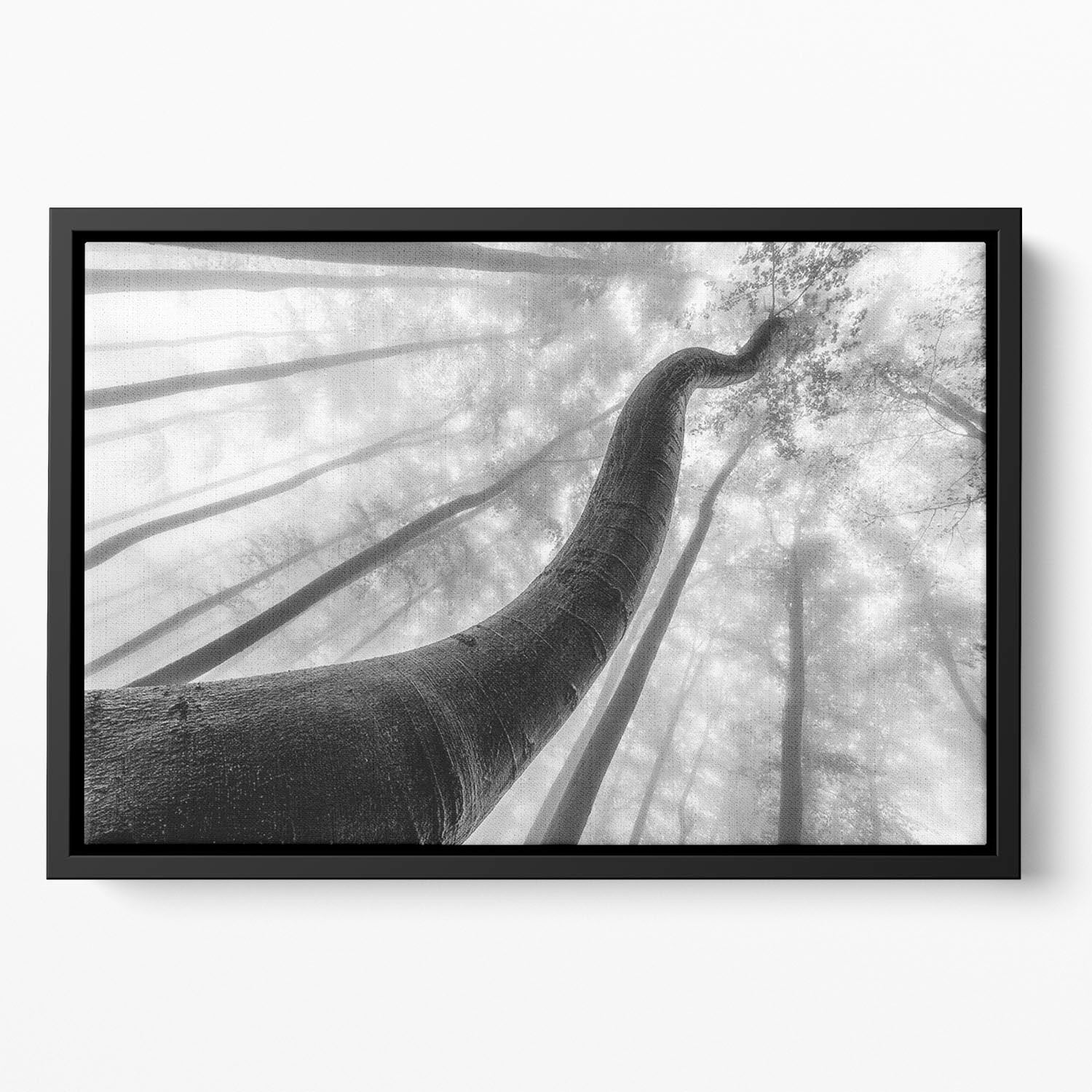 Tree Shapes Floating Framed Canvas - Canvas Art Rocks - 2